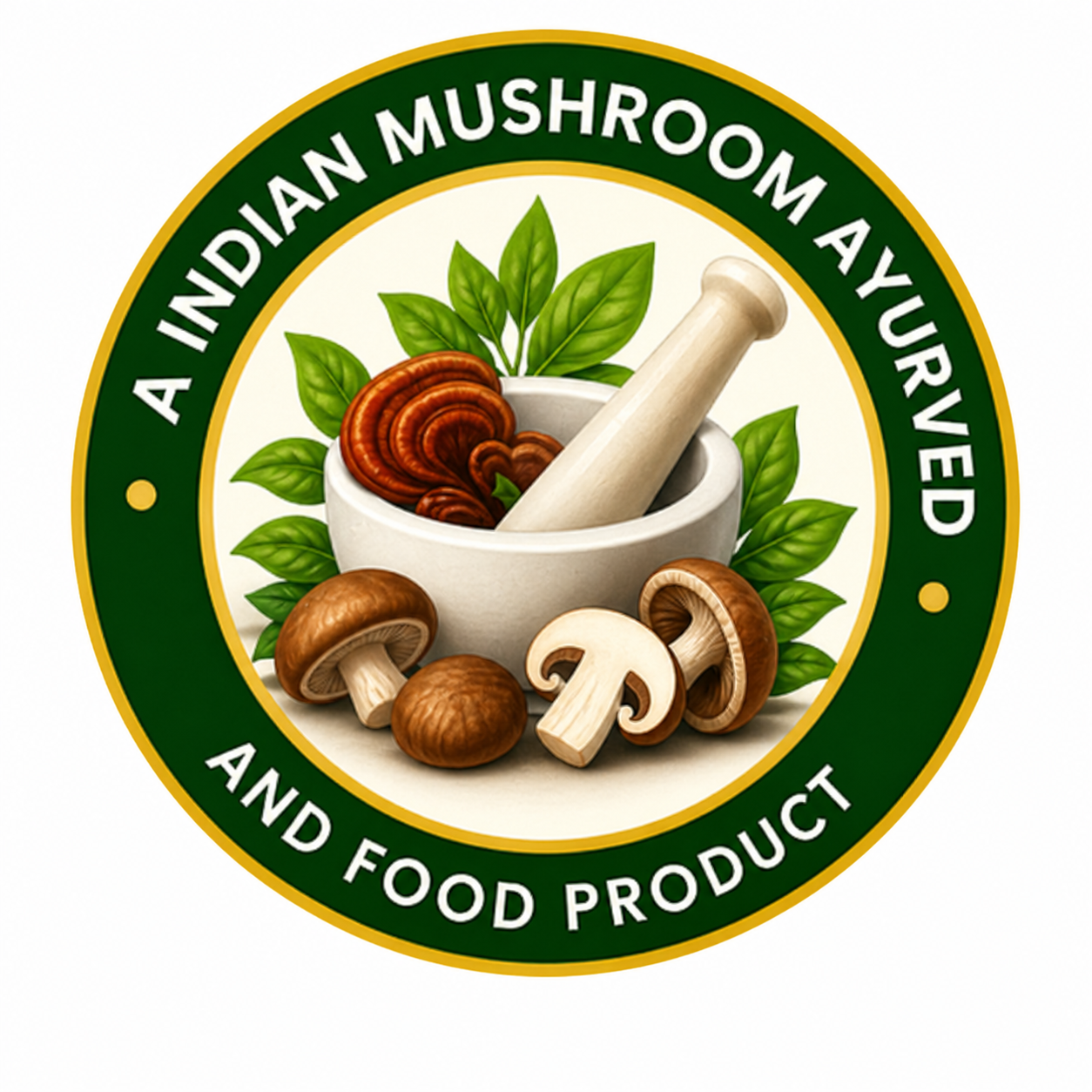 A INDIAN MUSHROOM